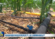 c罗纳尔多内马尔坠机身亡事件二战前各国的教育状况2024csgo赛程